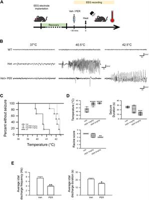 Perampanel Reduces Hyperthermia-Induced Seizures in Dravet Syndrome Mouse Model